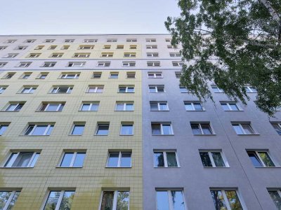 Renovierung läuft: kleine Singlewohnung – Einzug im Juli !