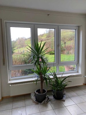 Helle und freundliche 3-Zimmer-Wohnung mit schöner Aussicht in Eußerthal