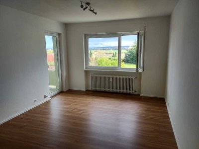 Vollständig renovierte 2-Raum-Wohnung mit Balkon in Lottstetten
