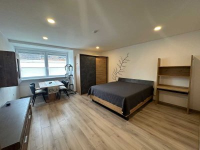 Stilvolle möblierte 1-Zimmer-EG-Wohnung Nähe Eishockey Stadion