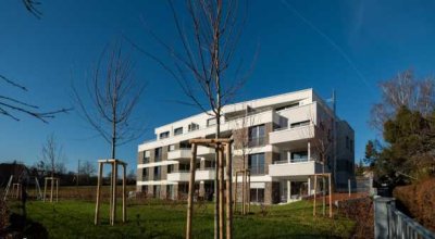 hochwertige 2-Zimmer Wohnung mit Terrasse in Filderstadt