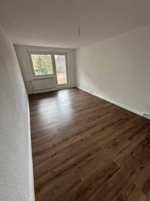 ***1 Monat Kaltmietfrei*** Helle 2-Zimmer-Wohnung in Bernburg (Saale) zu vermieten
