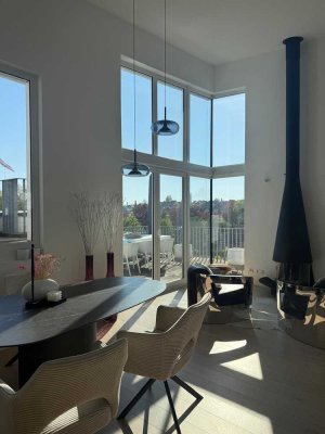 penthouse | xxl-dachterrassen | weitblick | kamin | 3,5 zimmer | heilbronn | fasan