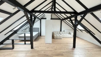 Möbliertes, charmantes Studio-Appartment in Seligenstadt Froschhausen