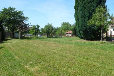 Projektiertes Neubau-Reihenmittelhaus in ruhiger Lage