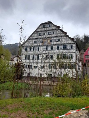 Geräumige 1-Zimmer-Wohnung zur Miete in Neckarstraße,  in Horb