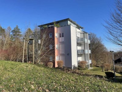 Renovierte 1-Zimmer-Wohnung in Mosbach zu vermieten