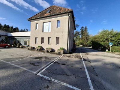 ZWEIFAMILIENHAUS MIT VIELSEITIGEN NUTZUNGSMÖGLICHKEITEN IN STEYR MÜNICHHOLZ