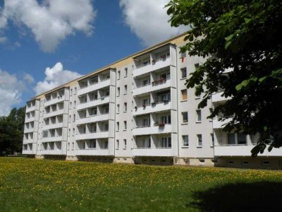 Renovierte 2-Raumwohnung im Erdgeschoss!