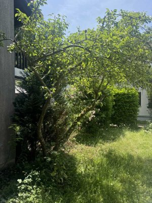 Bestl.Trudering/Top Reihenmittelhaus/4Schlafz.2Bäder,G-WC,Terrasse,Garten ,hochwertig saniert ;