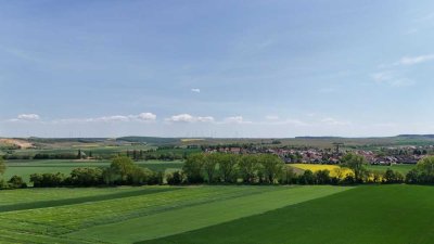 Zwischen Weinbergen und Natur – Ihr Investment in der Rheinhessischen Schweiz