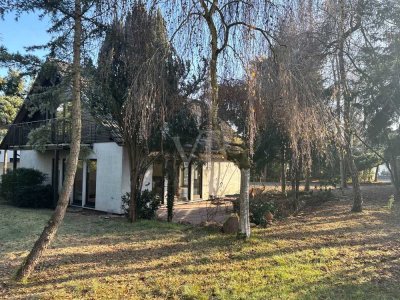 EFH in Kreuzwertheim: großer Garten, bodentiefe Fenster, Terrasse & Balkon