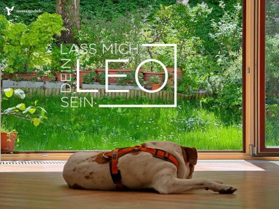 Ich will dein LEO sein