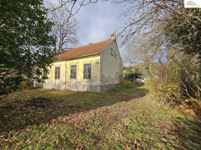 Traumhafte Liegenschaft in Pitten – Großzügiges Bauland mit charmantem Altbestand