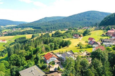 TRAUMHAFTE NATURLAGE MIT WUNDERSCHÖNER FERNSICHT
