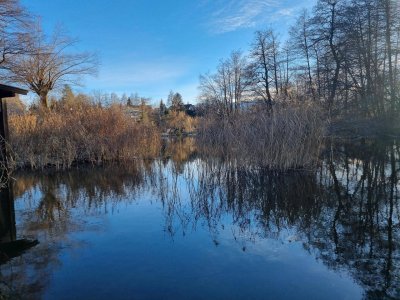 Exklusives Anwesen am Ossiacher See: Wohnen nähe Naturschutzgebiet mit Wasserzugang