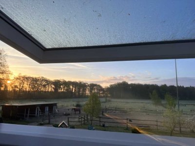 Einfamilienhaus mit Ausblick auf direkt anliegender Weidefläche und Reitplatz