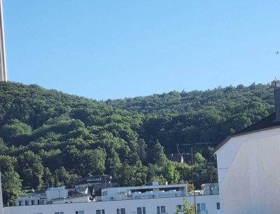 Freie 3-Raum-Wohnung mit geh. Innenausstattung, Balkon in Bad Neuenahr Centrum