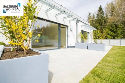 sonnige 2-Zimmer-Wohnung mit Terrasse und Dachgarten