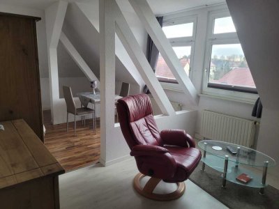 Charmantes 1-Zimmer-Apartment im DG in Markkleeberg