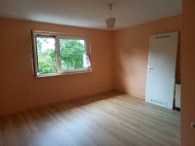 1- Zimmer-Wohnung Bad-Cannstatt mit Neckarblick