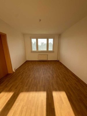 Helle 4-Zimmer-Wohnung in Heidesee mit Garage und Garten