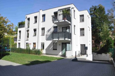 Ruhige, 1-Zimmer-EG-Wohnung mit Terrasse und Küchenzeile im HH in Dresden-Striesen