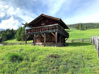 Charmante Freizeitwohnsitz Berghütte in traumhafter Panoramalage am Zettersfeld bei Lienz