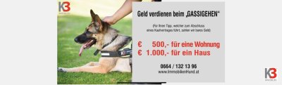 K3 - Doppelhaushälfte in ruhiger Lage | Gneis