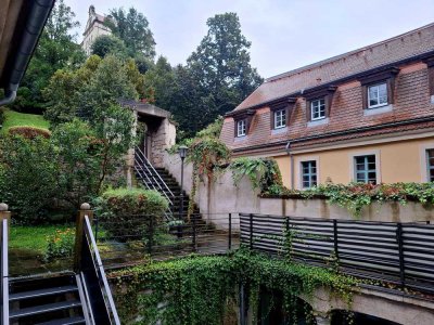Im Herzen von Pirna mit Ausblick - 2 Raumwohnung mit Terrasse sucht neue Mieter