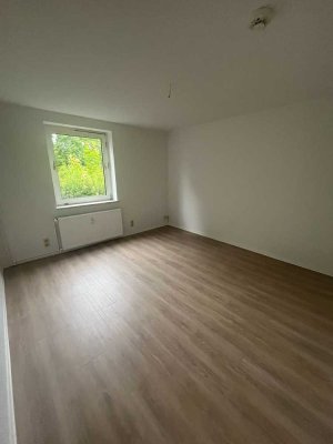Frisch renoviert und ideal für Pendler – Ihr neues Zuhause in Salzgitter-Thiede!