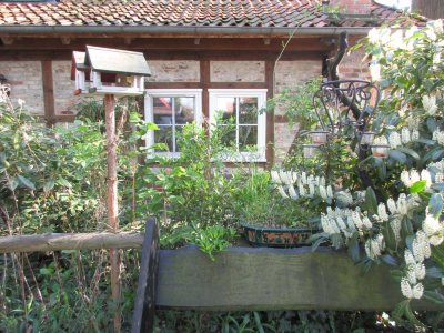 2 Zimmer Terrassenwohnung in Isernhagen Kirchhorst