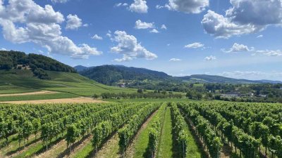 Haus über den Weinbergen