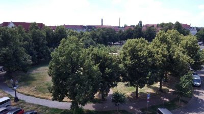 Herrlicher Blick auf den Schellheimer Platz Magdeburgs in Stadtfeld-Ost