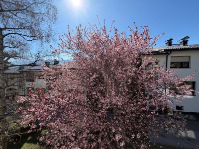 Sadrach-Hötting! Exklusiv sanierte Wohnung in Toplage! Provisionsfrei