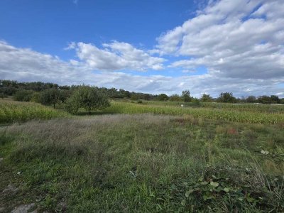320000 € - 518 m² - 1.0 Zi.