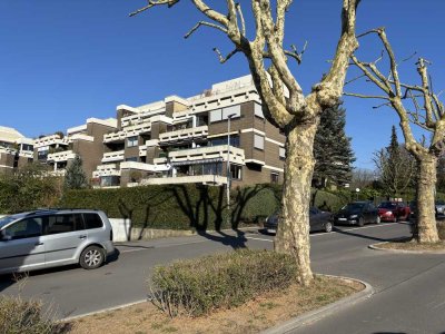 Geschmackvolle 3-Zimmer-Erdgeschosswohnung mit Terrasse am Schlosspark