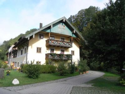 Naturnahe, neu renovierte 3-Zimmer-Wohnung in Aschau