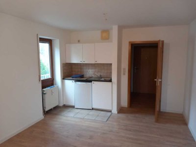 1-Zimmer Wohnung mit Balkon in Kumpfmühl-Ziegetsdorf-Neuprüll