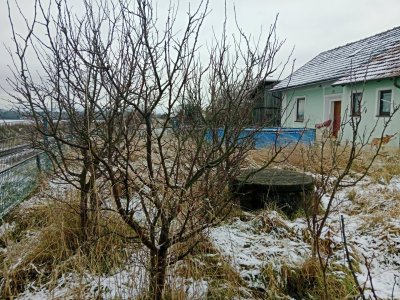 Barrierefreies Einfamilienhaus mit Garten und Terrasse in Kainreith