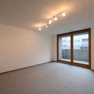 2 Zimmer Wohnung mit Loggia und Dachterassenbenutzung