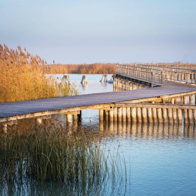 "The Lagoon" - Modern - Nachhaltig - Elegant