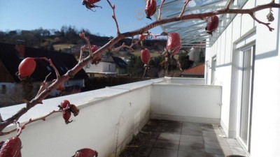 ##STYLISCH und MODERN...Designerwohnung mit 13m² Westterrasse...teilmöbliert und Tiefgarage !!##