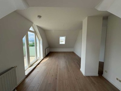 Sonnige 1-Zimmer-Wohnung in Plauen mit Fernblick u. Südbalkon