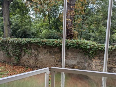 1 Zimmer Apartment in Top Lage direkt am Schlosspark Wiesbaden Biebrich -ohne Maklerkosten-