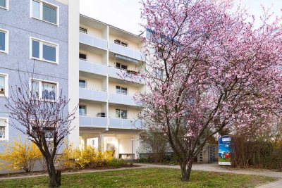 Ruhige Wohnung ohne Obermieter