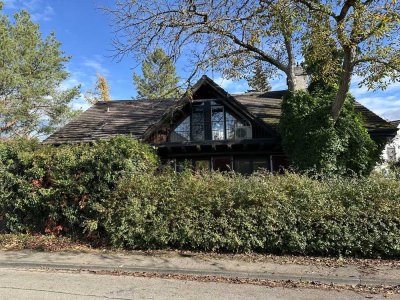 Einmalige Gelegenheit auf der Mettnau/Bodensee/Radolfzell