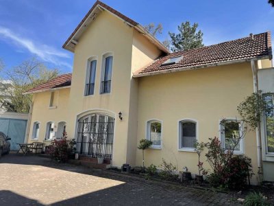 Ruheoase am Glacis