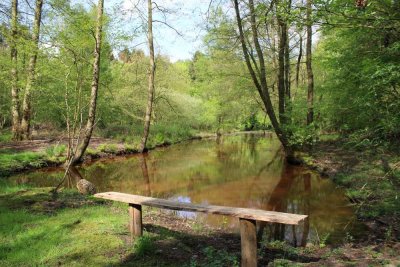 Ruhe, Natur und zentrale Lage, exklusive
Villa mit Einliegerwohnung bietet viel Potenzial