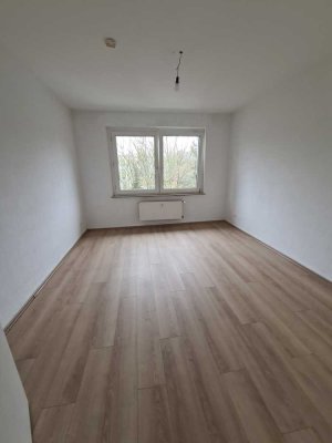 Schön und gemütlich! Renovierte 3,5 Raum Wohnung in ruhiger Lage!!! Balkon!!